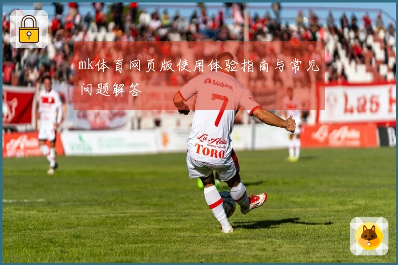 mk体育网页版使用体验指南与常见问题解答